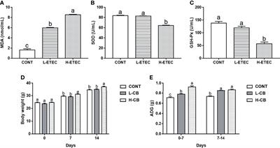 Clostridium butyricum Alleviates Enterotoxigenic Escherichia coli K88-Induced Oxidative Damage Through Regulating the p62-Keap1-Nrf2 Signaling Pathway and Remodeling the Cecal Microbial Community